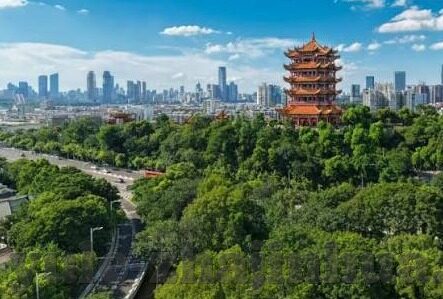 真钱水果机-真钱水果机，娱乐与风险并存的博弈